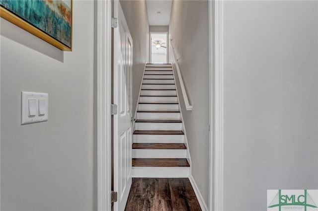 stairway featuring hardwood / wood-style flooring