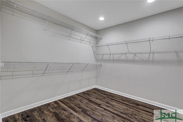 spacious closet featuring hardwood / wood-style floors