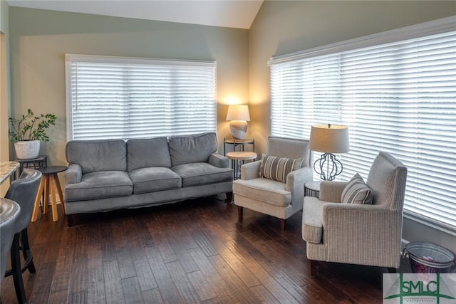 living room with dark hardwood / wood-style floors and vaulted ceiling