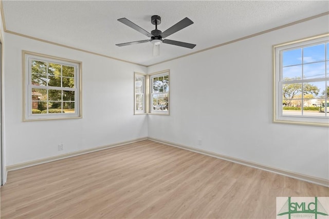 spare room featuring a wealth of natural light, crown molding, a textured ceiling, and light wood finished floors