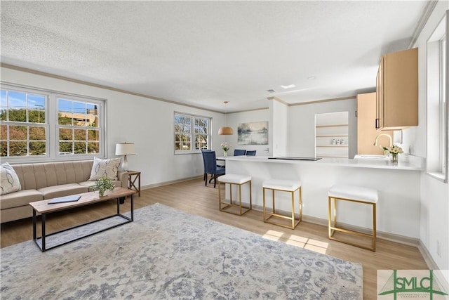 living room with light wood-type flooring, baseboards, ornamental molding, and a textured ceiling