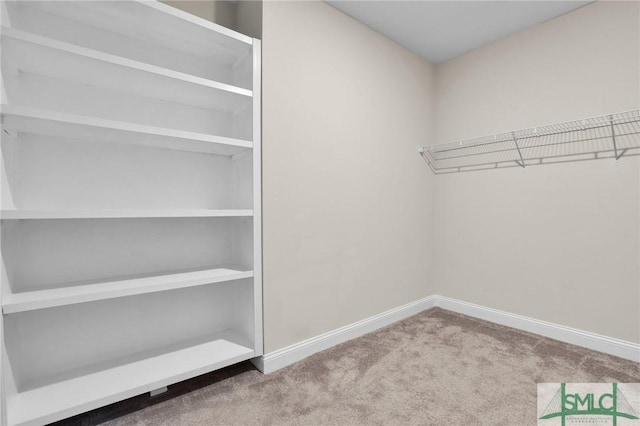 walk in closet with carpet floors