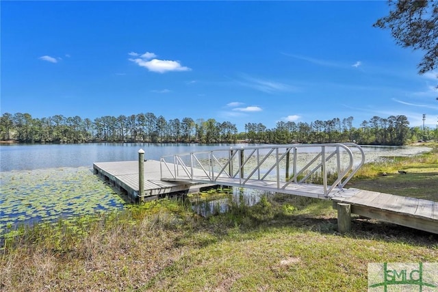 dock area with a water view