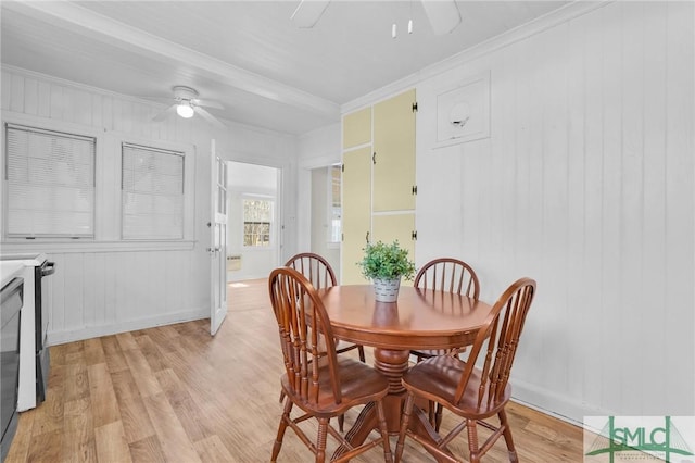 dining area featuring ceiling fan, light wood-type flooring, and crown molding