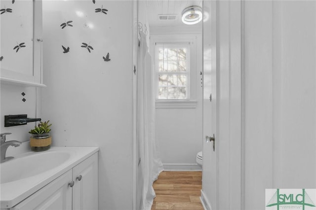 bathroom featuring toilet, vanity, and wood-type flooring