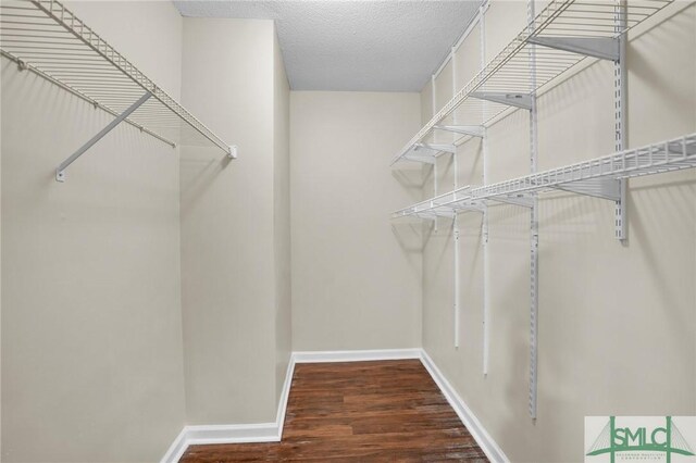 209 Mariners Way, Savannah, GA 31419 - spacious closet with wood finished floors
