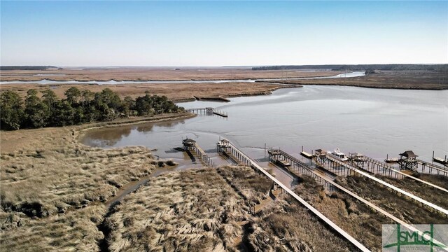 209 Mariners Way, Savannah, GA 31419 - bird's eye view of a nearby body of water