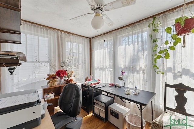 office area featuring hardwood / wood-style floors and ceiling fan