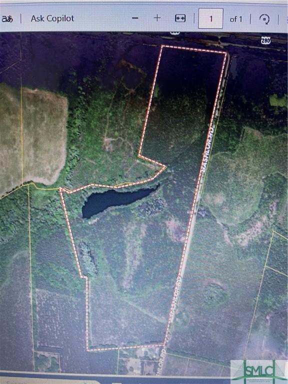 0 Bashlor Rd, Pembroke, GA 31321