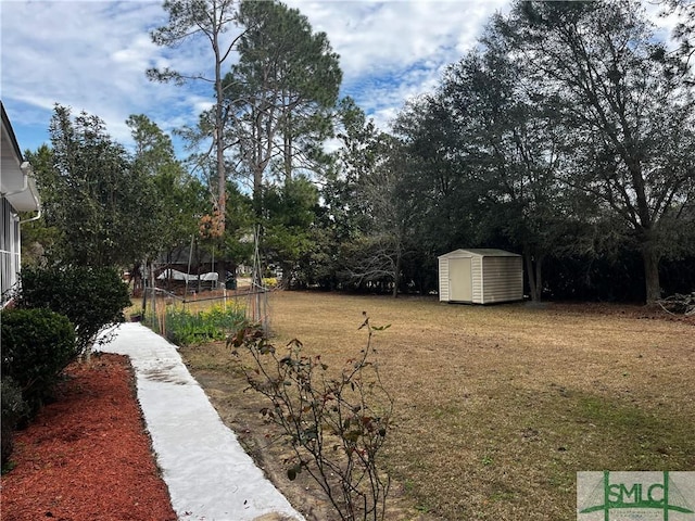 view of yard with a shed