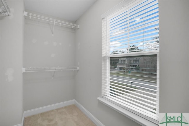 spacious closet with light carpet