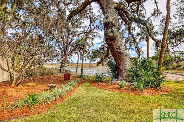 view of yard featuring a water view