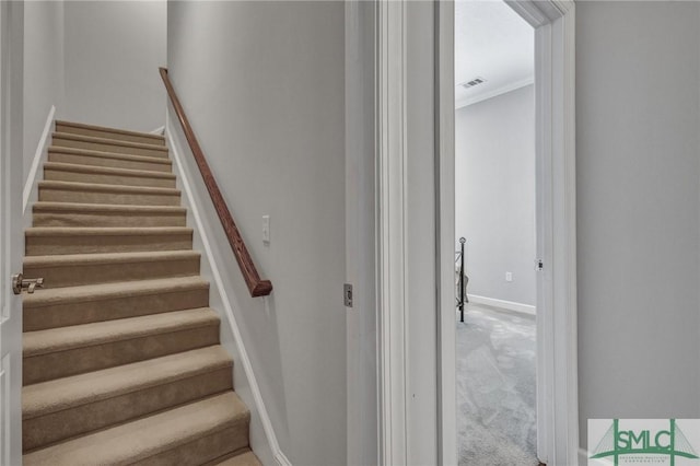 stairway with crown molding and carpet