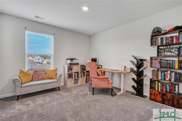 sitting room with carpet flooring