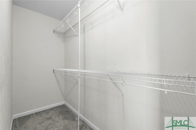 walk in closet featuring carpet floors