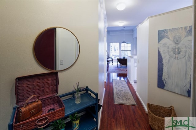 hallway featuring dark hardwood / wood-style flooring