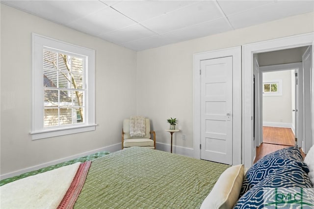 bedroom featuring wood finished floors, baseboards, multiple windows, and a paneled ceiling