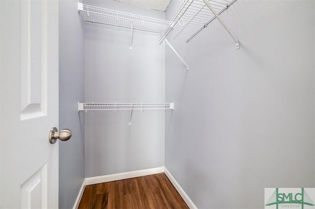 walk in closet with wood finished floors