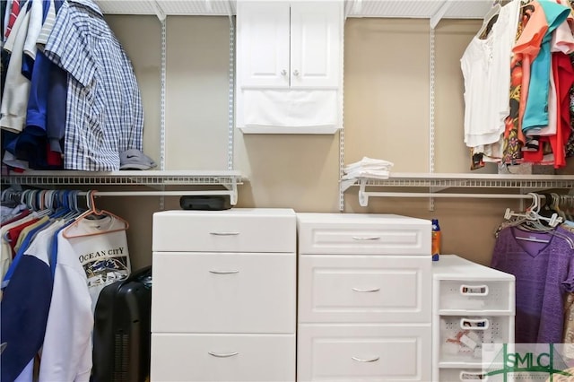 view of spacious closet