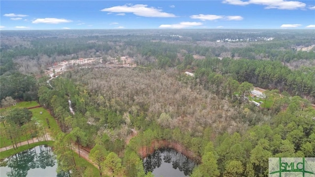 0 Curtis Rd, Hinesville GA, 31313 land for sale