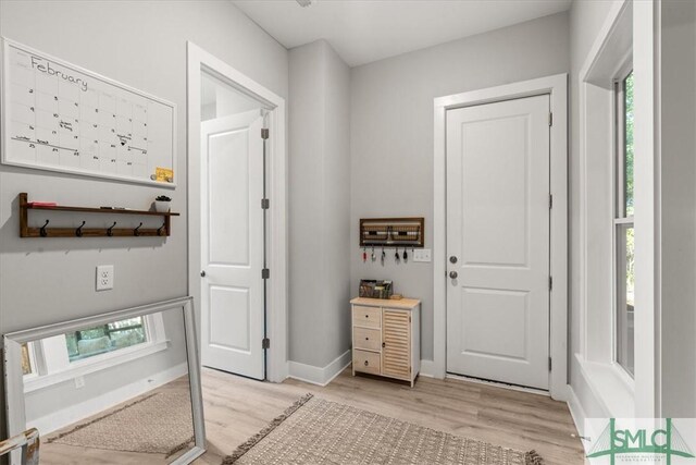 230 Blackjack Oak Dr W, Richmond Hill, GA 31324 - foyer entrance with light wood finished floors and baseboards