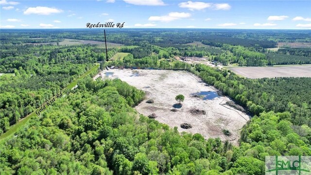1382 Reedsville Rd, Clyo, GA 31303