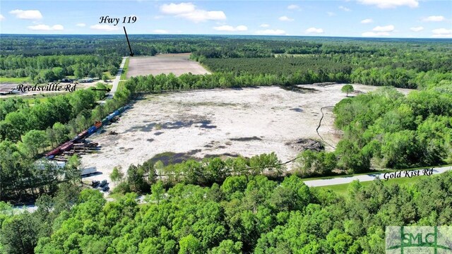 1382 Reedsville Rd, Clyo, GA 31303