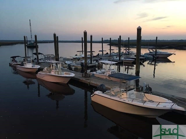 dock area featuring a water view