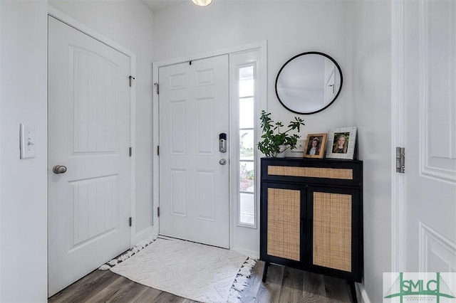 foyer featuring dark wood finished floors