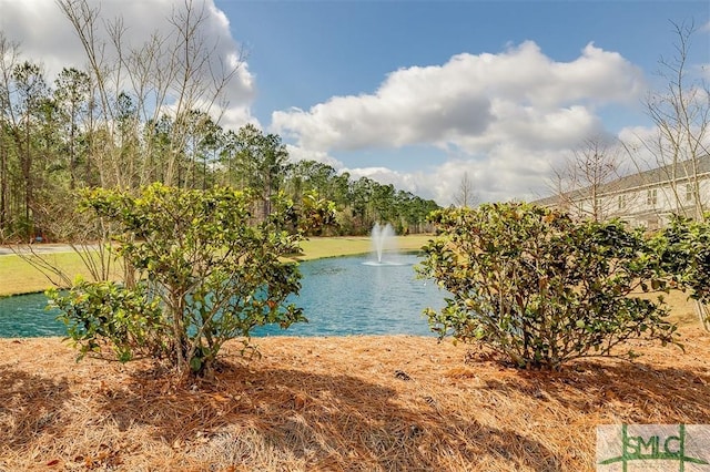 view of water feature