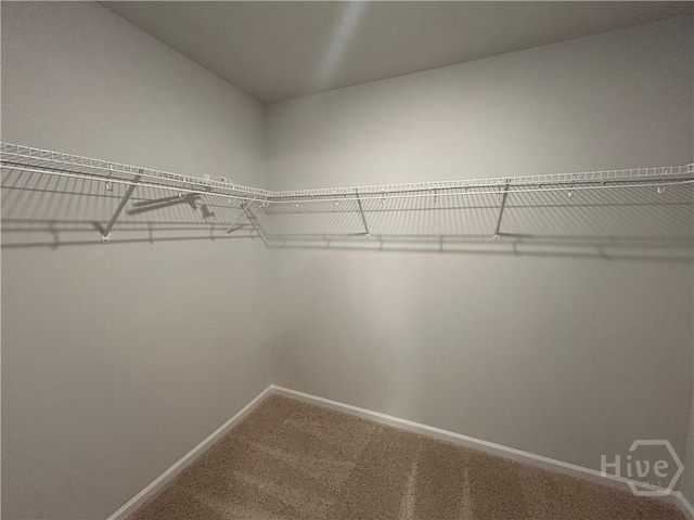 108 Stillhouse Dr, Springfield, GA 31329 - walk in closet with carpet flooring