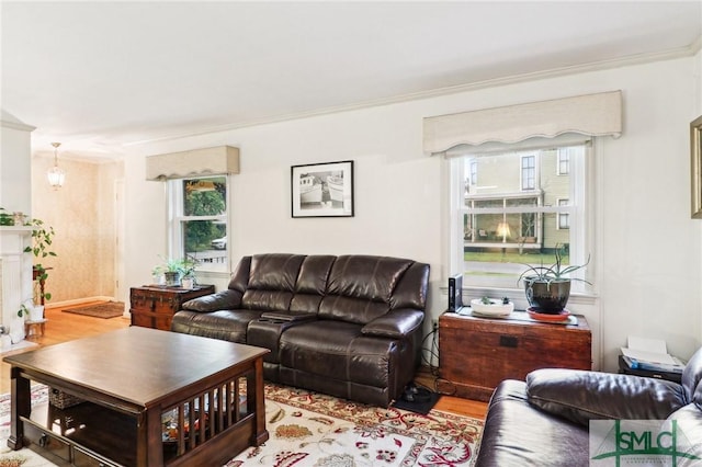 living room with ornamental molding and light wood finished floors