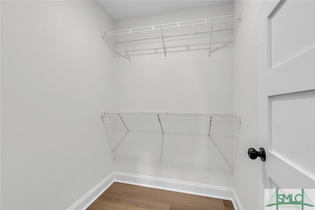 walk in closet featuring wood finished floors