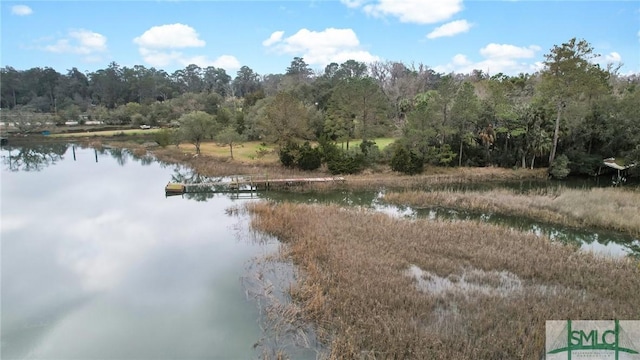 property view of water featuring a view of trees