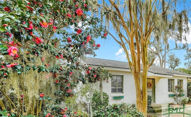 view of front of property featuring fence and stucco siding