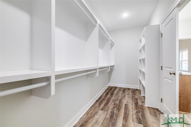 spacious closet with dark wood-type flooring