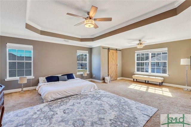 469 Nashview Trl, Allenhurst, GA 31301 - bedroom featuring ornamental molding, a tray ceiling, and a barn door