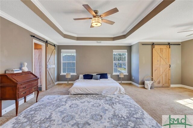 469 Nashview Trl, Allenhurst, GA 31301 - bedroom with a barn door, baseboards, a raised ceiling, and light colored carpet