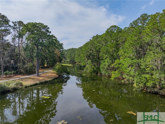 Listing photo 3 for 4 Musgrove Ln, Savannah GA 31411