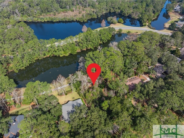 4 Musgrove Ln, Savannah GA, 31411 land for sale