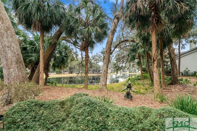 view of yard featuring a water view