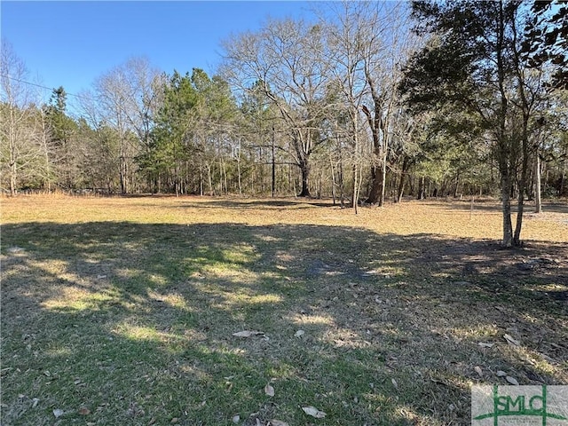 168 Chester Thomas Rd, Springfield, GA 31329 - photo 1