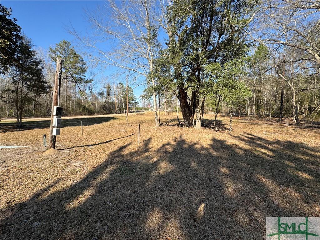 168 Chester Thomas Rd, Springfield, GA 31329 - photo 2