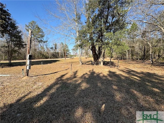 168 Chester Thomas Rd, Springfield, GA 31329 - photo 2
