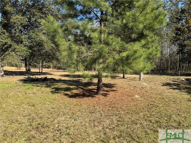 168 Chester Thomas Rd, Springfield, GA 31329 - photo 3