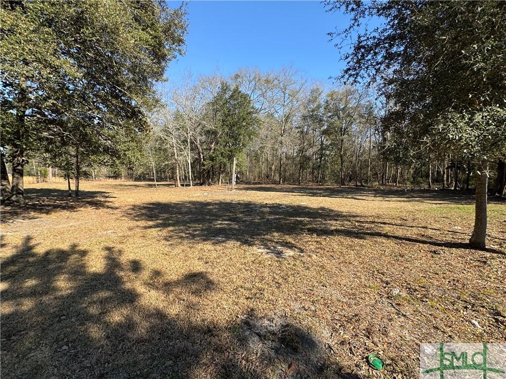 168 Chester Thomas Rd, Springfield, GA 31329 - photo 4