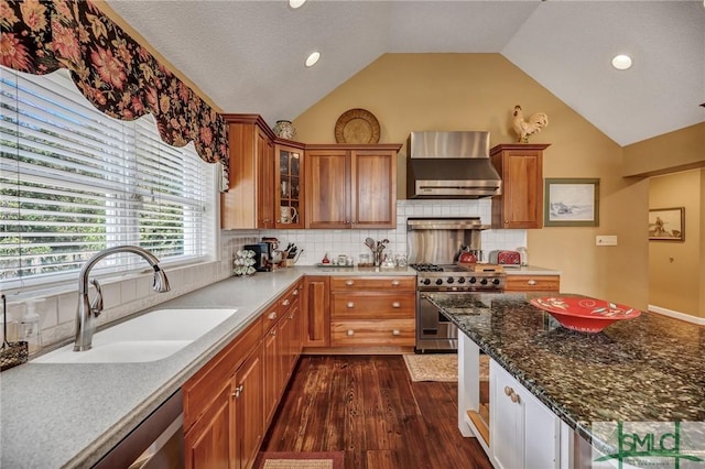 kitchen with stainless steel appliances, dark wood-style flooring, a sink, wall chimney exhaust hood, and glass insert cabinets