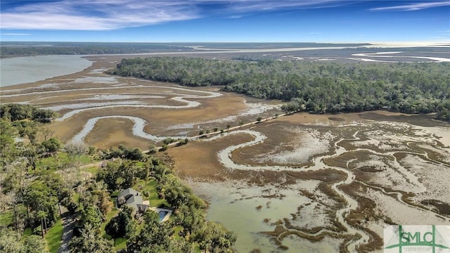 bird's eye view featuring a forest view and a water view