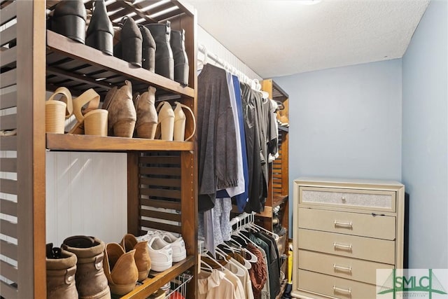 view of walk in closet