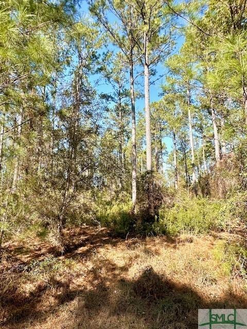 0 Marsh Way, Townsend GA, 31331 land for sale